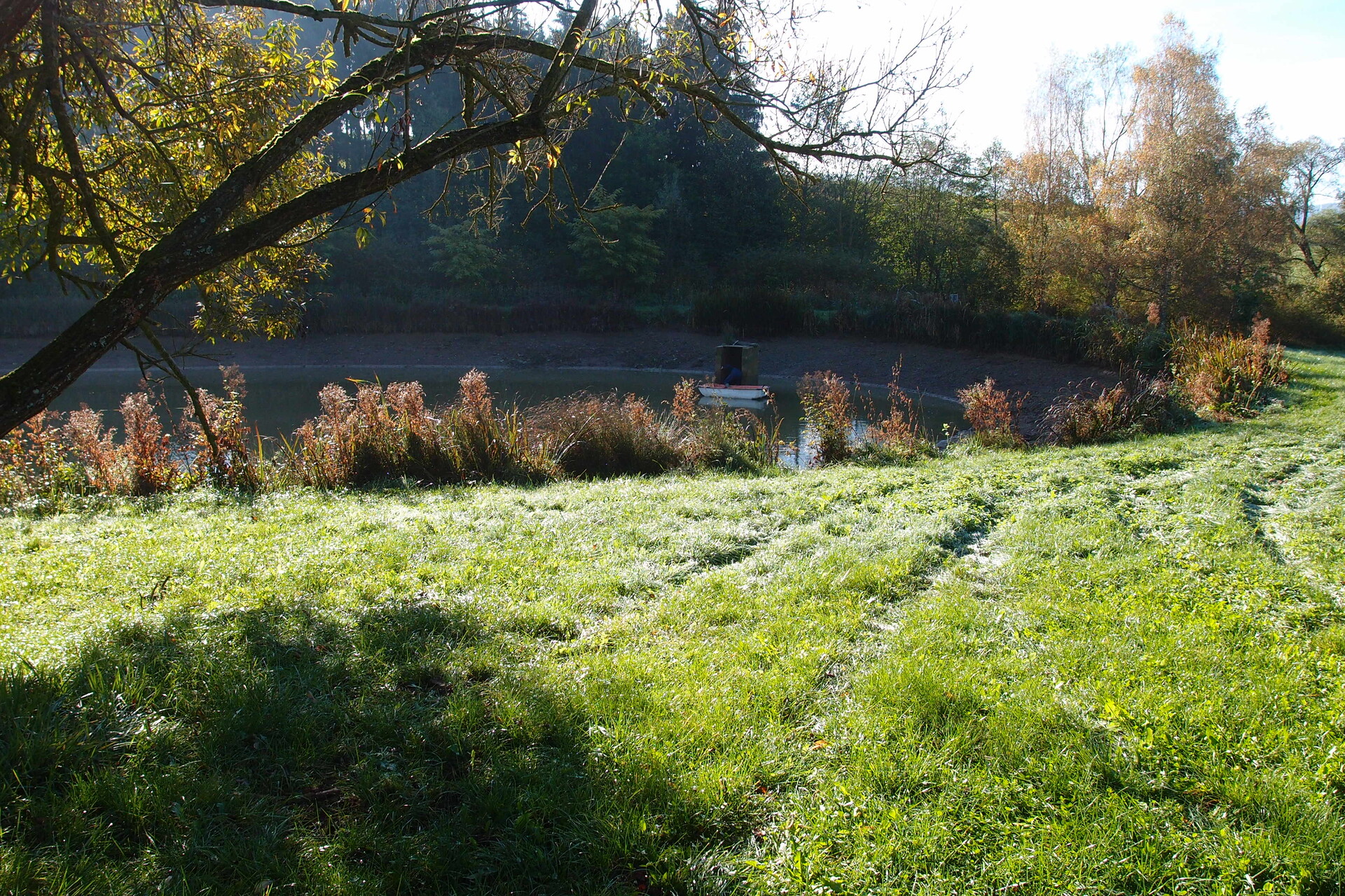 Galeriebild: PA183083